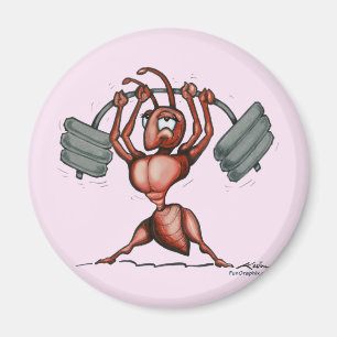 Aimant Fitness Diva