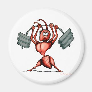 Aimant Fitness Diva