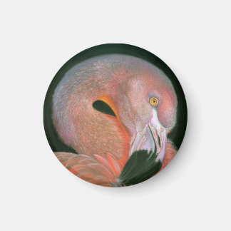 Aimant Flamant 
