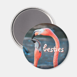 Aimant Flamant rose rose Oiseaux Photo Besties Script élé