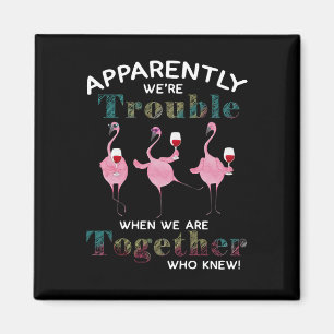 Aimant Flamants roses  Apparemment nous sommes des Flaman