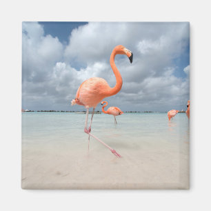 Aimant Flamants roses Beach Aruba