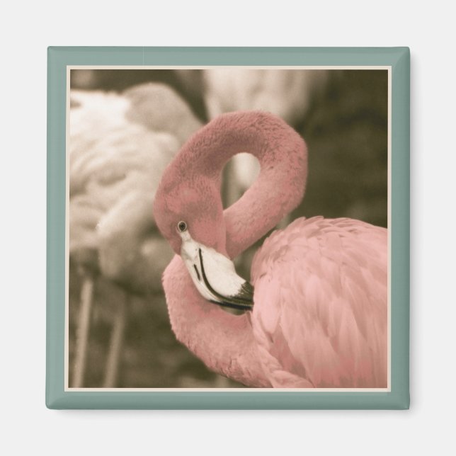 Aimant Flamingo (Devant)