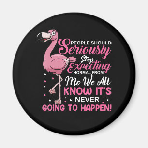 Aimant Flamingos People Should Stop Expecting Normal