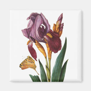 Aimant Fleur