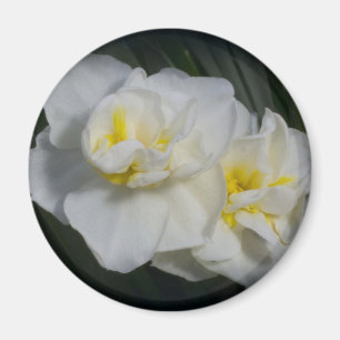 Aimant Fleur blanche