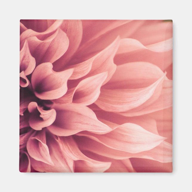 Aimant Fleur Dahlia (Devant)
