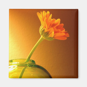 Aimant Fleur dans Vase