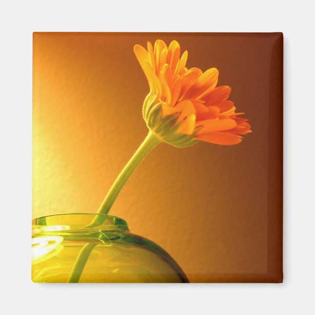 Aimant Fleur dans Vase (Devant)