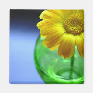 Aimant Fleur dans Vase