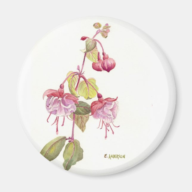 Aimant Fleur d'aquarelle Fushia rouge et rose (Devant)