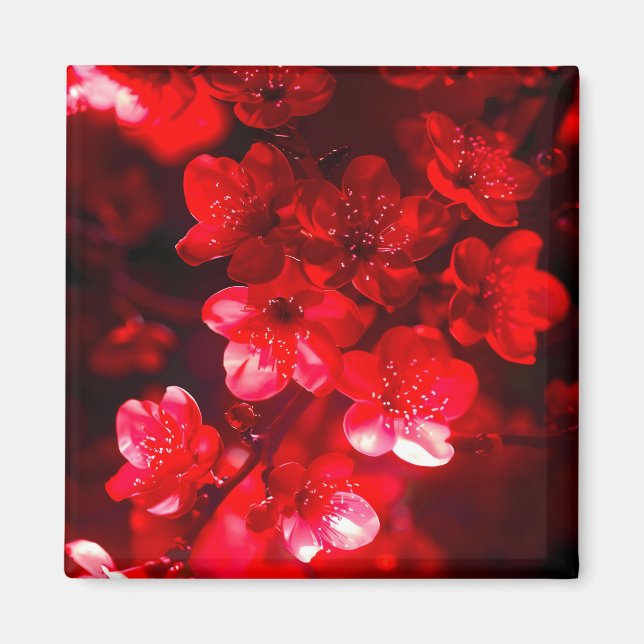 Aimant Fleur de cerisier Twilight (Devant)