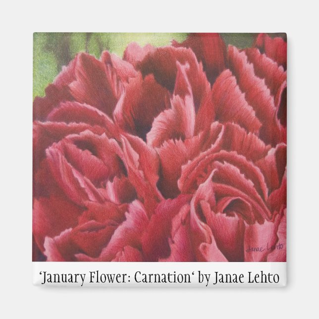 Aimant "Fleur de janvier : Carnation" (Devant)