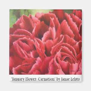 Aimant "Fleur de janvier : Oeillet "