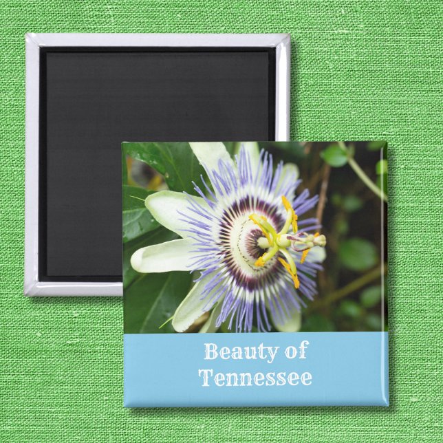 Aimant Fleur de la passion Fleur de l'État du Tennessee (Créateur téléchargé)