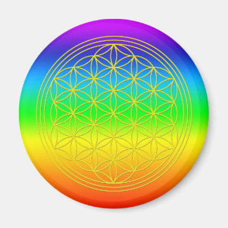 Aimant Fleur de la vie chakra 2