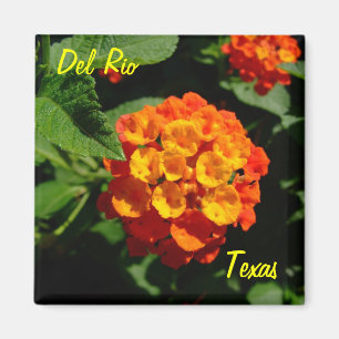 Aimant Fleur de Lantana d'aimant de Del Rio le Texas