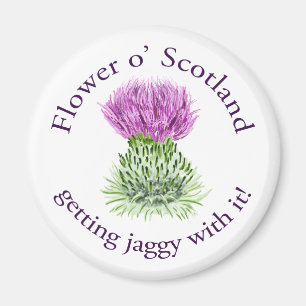 Aimant Fleur de l'Ecosse - le jaggy avec!