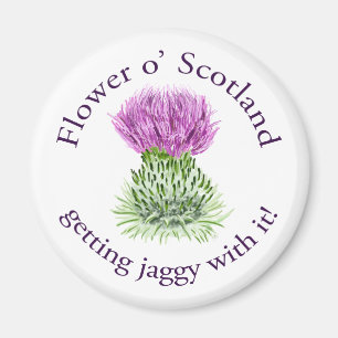 Aimant Fleur de l'Ecosse - se bousculer avec !