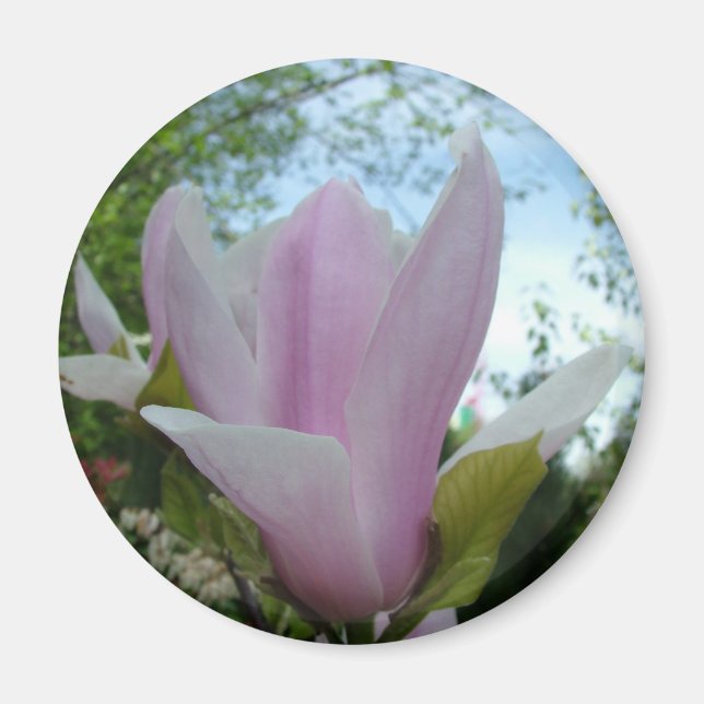 Aimant fleur de magnolia (Devant)