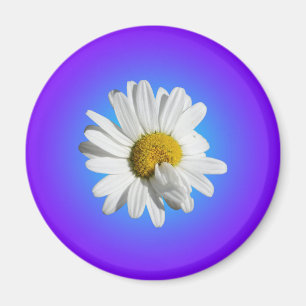 Aimant Fleur de marguerite blanche dégradé floral bleu vi