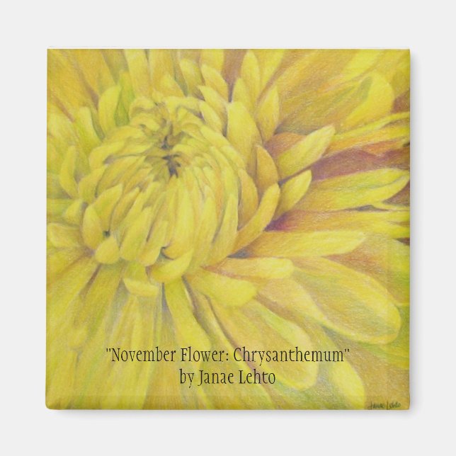 Aimant Fleur de novembre : Chrysanthemum (Devant)