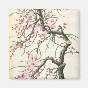Aimant Fleur de pêche (couleur sur le papier)