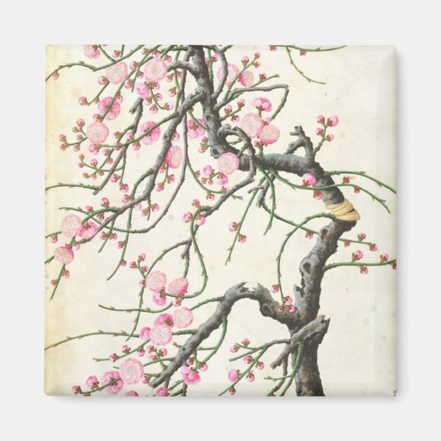 Aimant Fleur de pêche (couleur sur papier) (Devant)