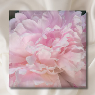 Aimant Fleur de pivoine rose