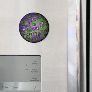 Aimant Fleur d'État du Wisconsin : Lumière de violet de b