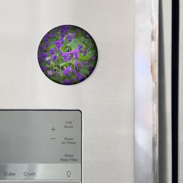 Aimant Fleur d'État du Wisconsin : Lumière de violet de b (In situ (réfrigérateur))