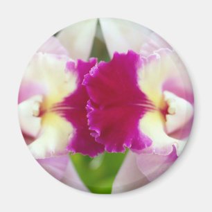 Aimant Fleur d'orchidée