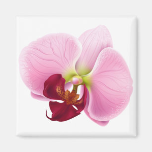 Aimant fleur d'orchidée