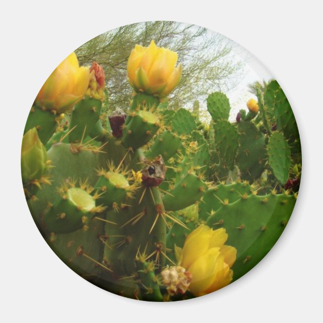 Aimant Fleur du désert (Devant)