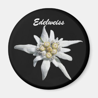 Aimant Fleur Edelweiss
