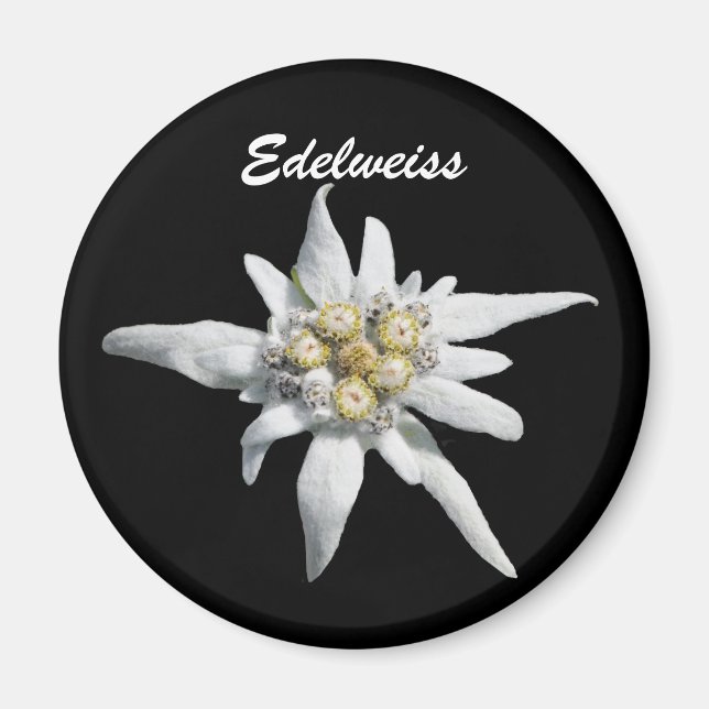 Aimant Fleur Edelweiss (Devant)