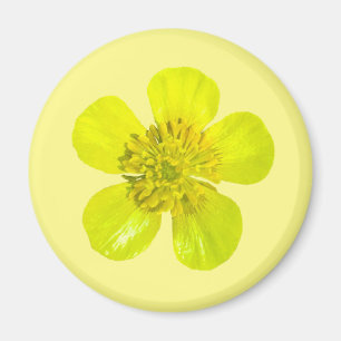 Aimant Fleur en beaming Buttercup - transparent.