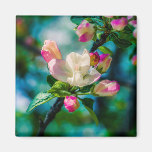 Aimant Fleur et bourgeons de pommes de terre