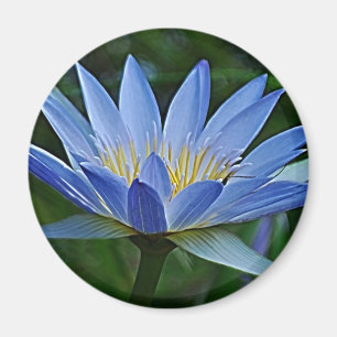 Aimant Fleur et signification de Lotus