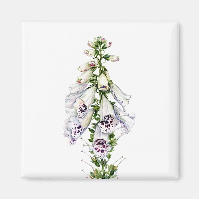Aimant Fleur Foxglove (Devant)