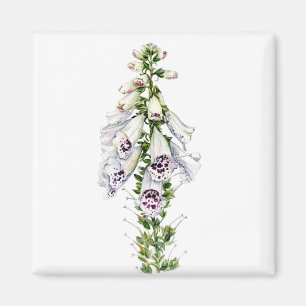Aimant Fleur Foxglove