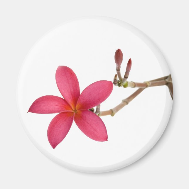 Aimant Fleur Frangipani rouge (Devant)