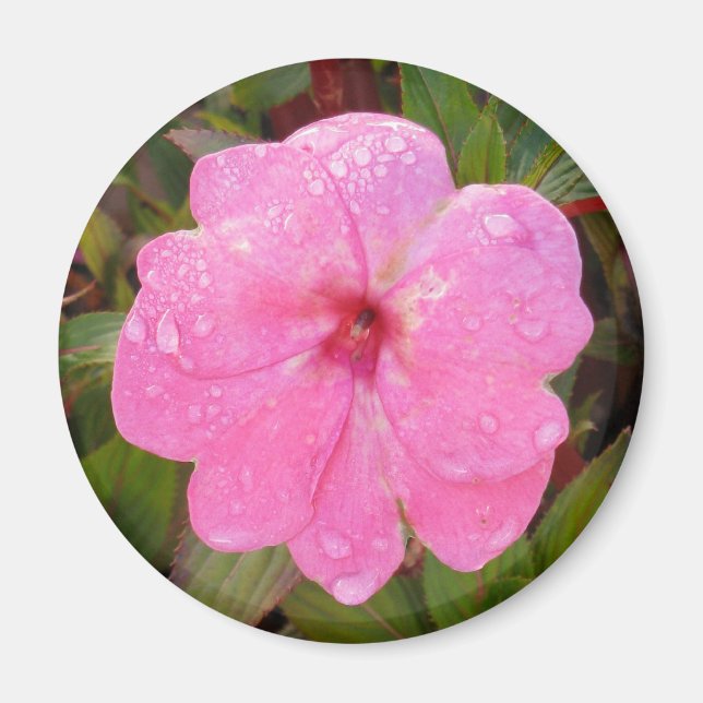 Aimant Fleur humide (Devant)