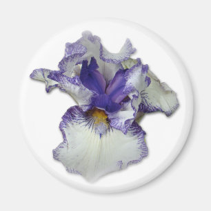 Aimant Fleur Iris à fond bleu et blanc