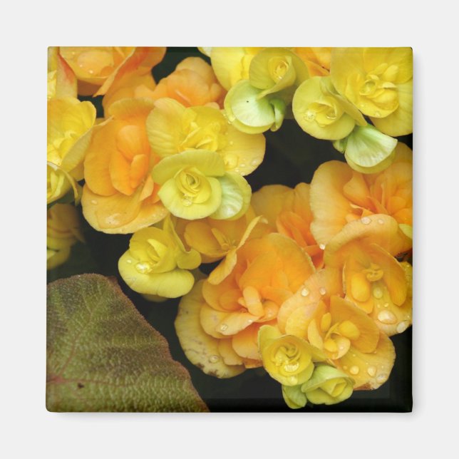 Aimant fleur jaune (Devant)