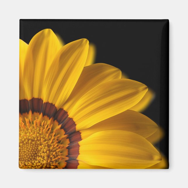 Aimant Fleur jaune sur arrière - plan noir (Devant)