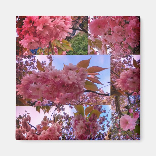 Aimant Fleur rose (Devant)
