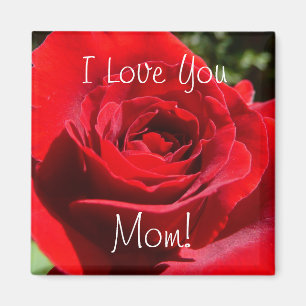 Aimant Fleur rose rouge vif Belle florale