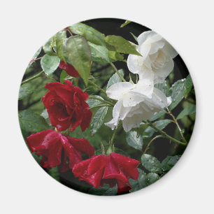 Aimant Fleur Rose trempée