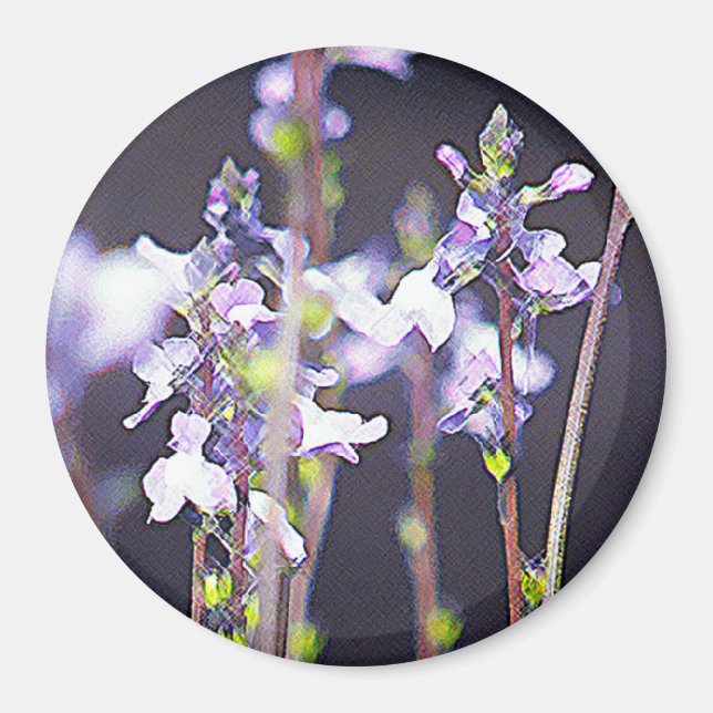 Aimant Fleur sauvage (Devant)